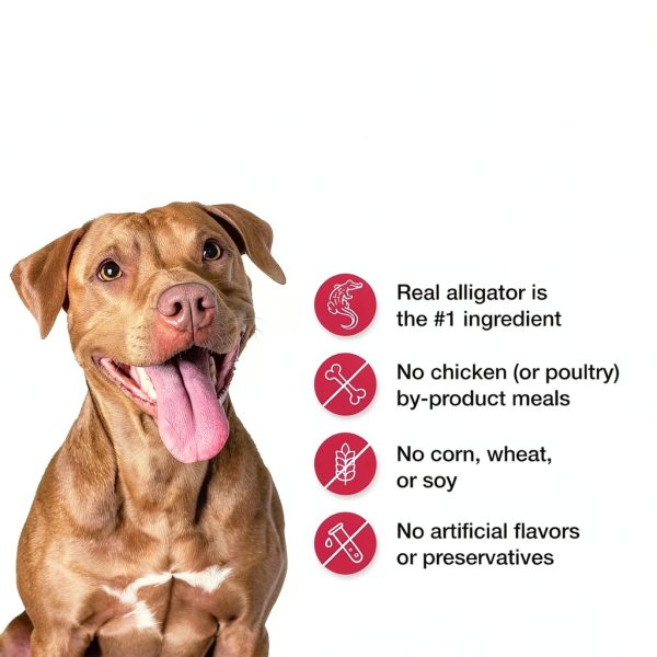 Blue Buffalo Alligator Dog Food Veterinary Diet Novel-5