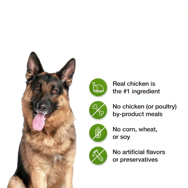 Blue Buffalo Gastrointestinal Support Wet Dog Food Chicken-4