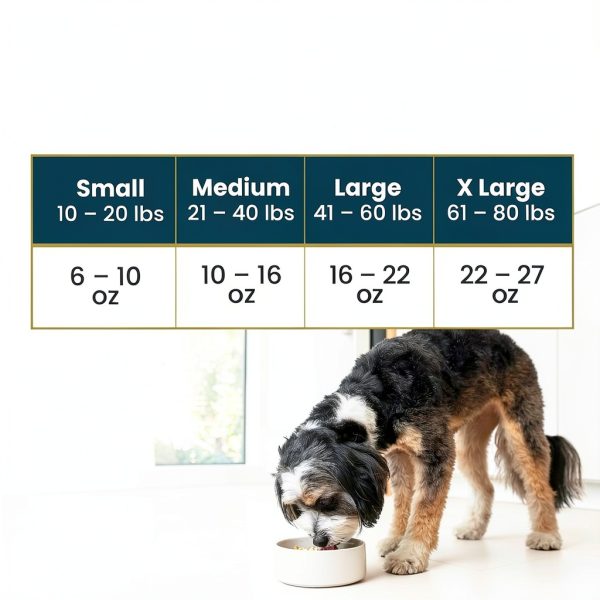 JustFoodForDogs Fresh Dog Food Kidney Health Support-8