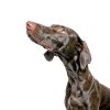 Purina Veterinary Diets UR Ox St Dog Food Urinary Health-4