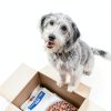 Hills Prescription Diet c d Multicare Urinary Dog Food-13