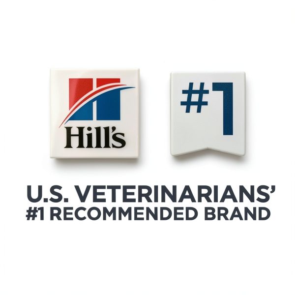 Hills Prescription Diet ONC Care Dog Food Cancer Support-5