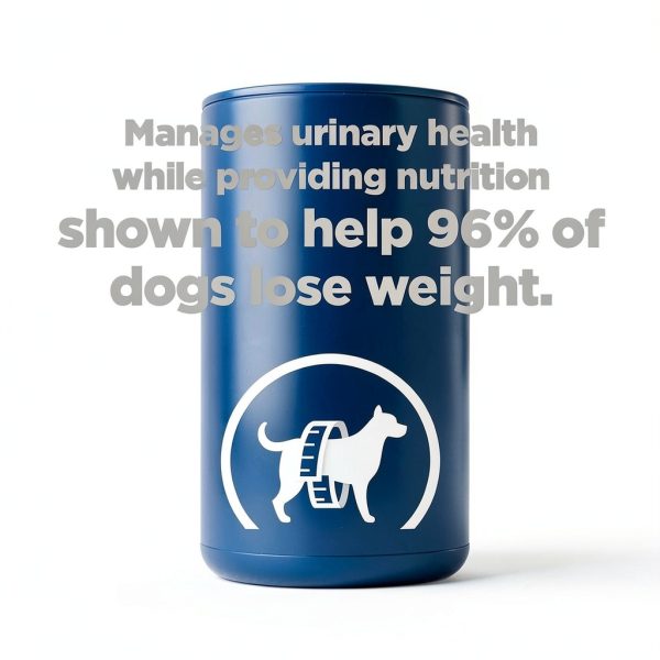 Hills Prescription Diet c/d Multicare Metabolic Dog Food-2