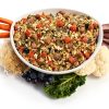 JustFoodForDogs Fresh Dog Food Kidney Health Support-2