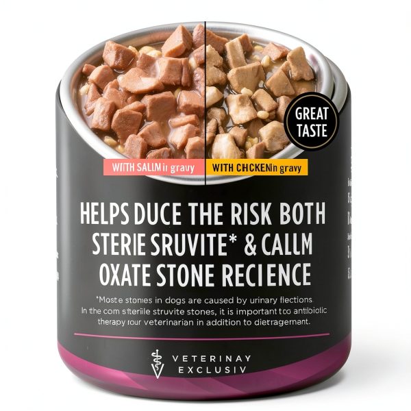 Purina Veterinary Diets UR Ox St Dog Food Wet Canned-1