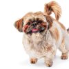 JustFoodForDogs Fresh Dog Food Kidney Health Support-3