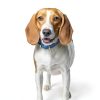 Hills Prescription Diet r/d Weight Reduction Dog Food-6