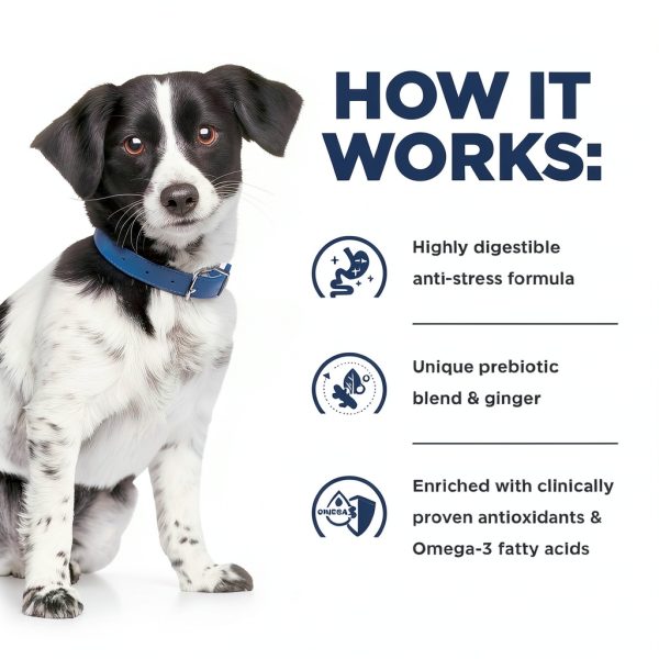 Hills Prescription Diet i/d Stress Dog Food Digestive Care-8