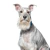 Hills Prescription Diet i/d Low Fat Dog Food Digestive Care-7