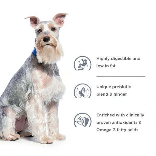 Hills Prescription Diet i/d Low Fat Dog Food Digestive Care-8