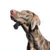 Purina Sensitive Skin Dog Food Omega Fatty Acids Kibble-4