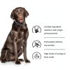 Hills Prescription Diet d/d Dog Food Sensitivities Formula-7