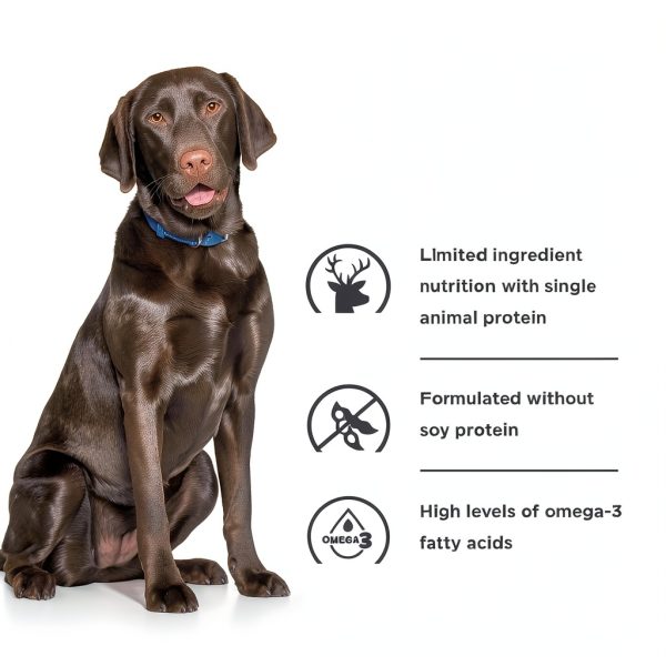 Hills Prescription Diet d/d Dog Food Sensitivities Formula-7