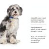 Hills Prescription Diet ONC Care Dog Food Cancer Support-7