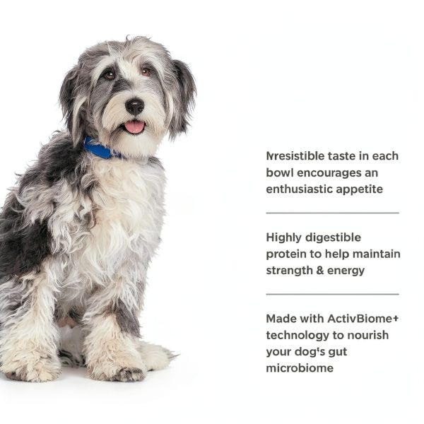 Hills Prescription Diet ONC Care Dog Food Cancer Support-7