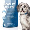 Hills Prescription Diet ONC Care Dog Food Cancer Support-6