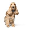 Hills Prescription Diet z/d Dog Food-4