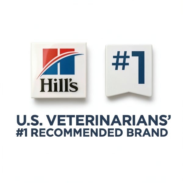 Hills Prescription Diet k/d Lamb Dry Dog Food-5