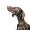 Purina Pro Plan Weight Management Dog Food 25lb-3
