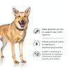 Hill's Prescription Diet i/d Dry Adult Dog Food 27.5 lb Pack-8