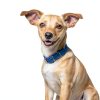 Hill's Prescription Diet i/d Dry Adult Dog Food 17.6 Pound Pack-7